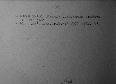 KOC_KONI_slika.0524
