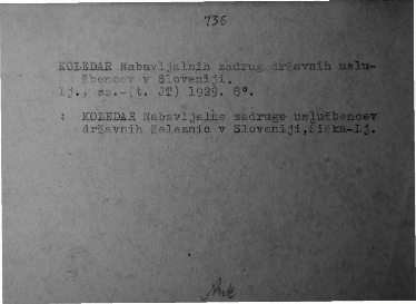 KOC_KONI_slika.0541