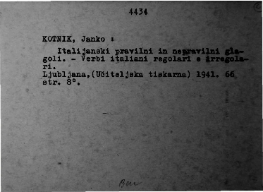 KONJ_KOT_slika.0080