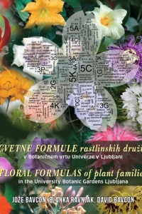 Cvetne formule rastlinskih družin