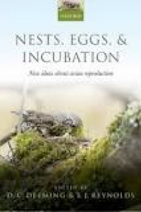 Nests, eggs, & incubation