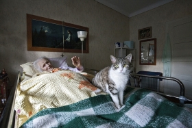 Babica in njena mačka